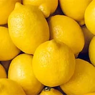 Lemon Extract — ingredient in Cerebrozen